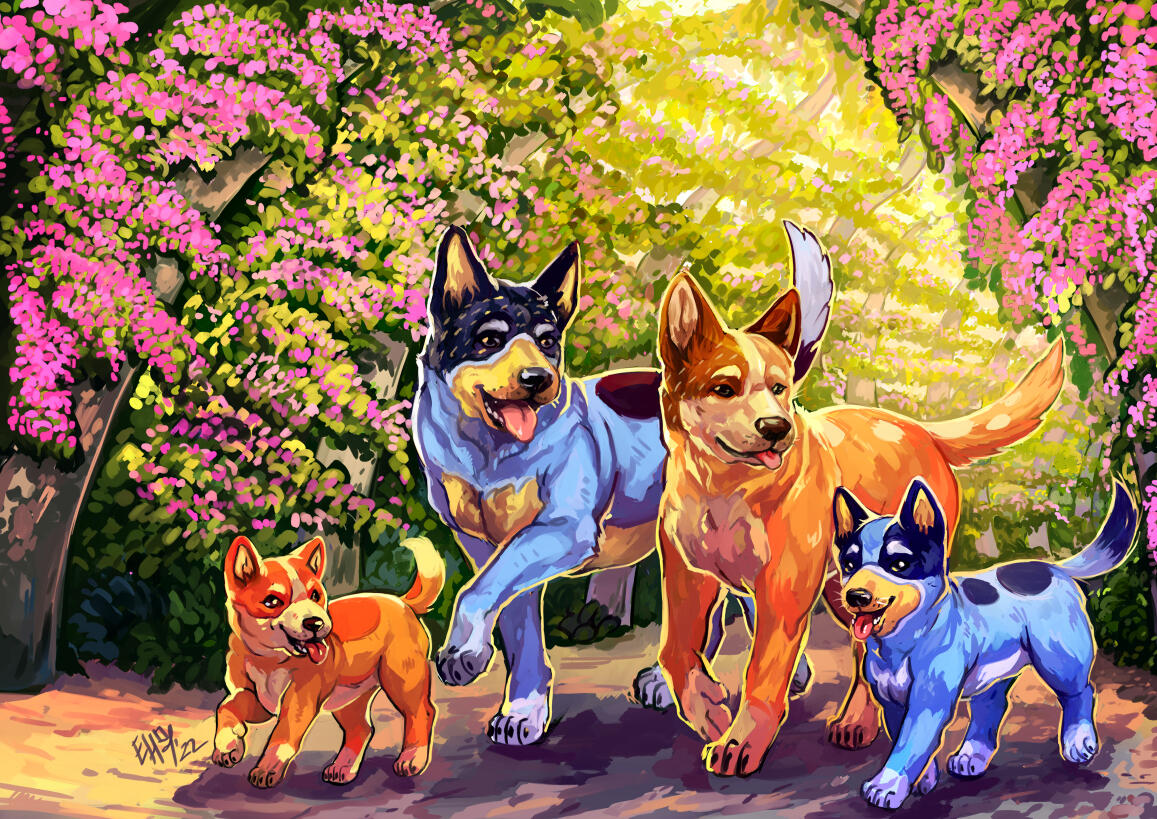 Heelers at Southbank