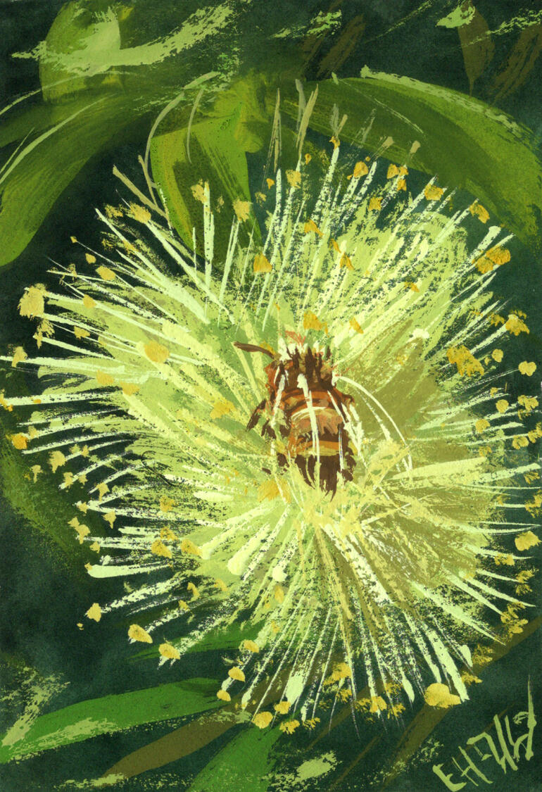 Bottlebrush bee