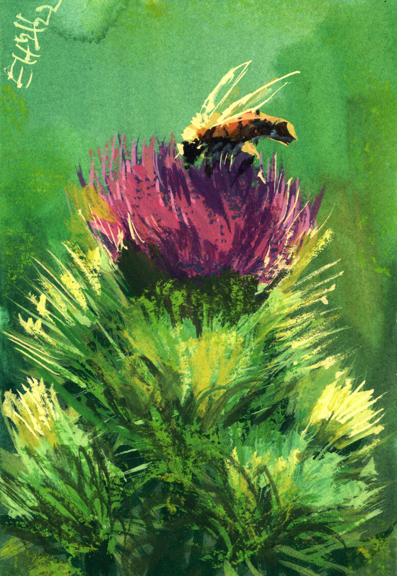 Thistle Bee