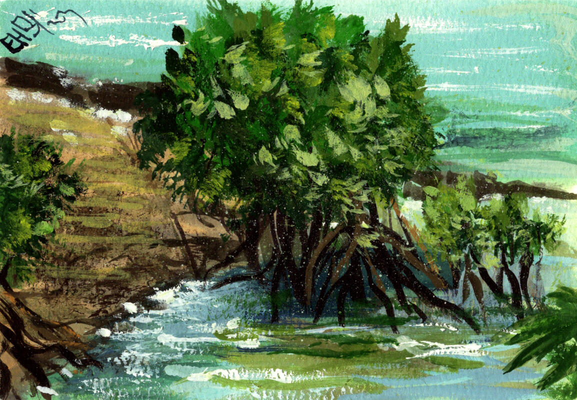 Lapping mangroves
