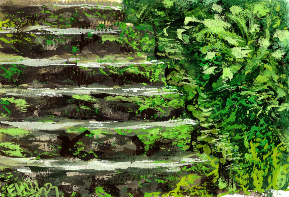 Mossy Stairs