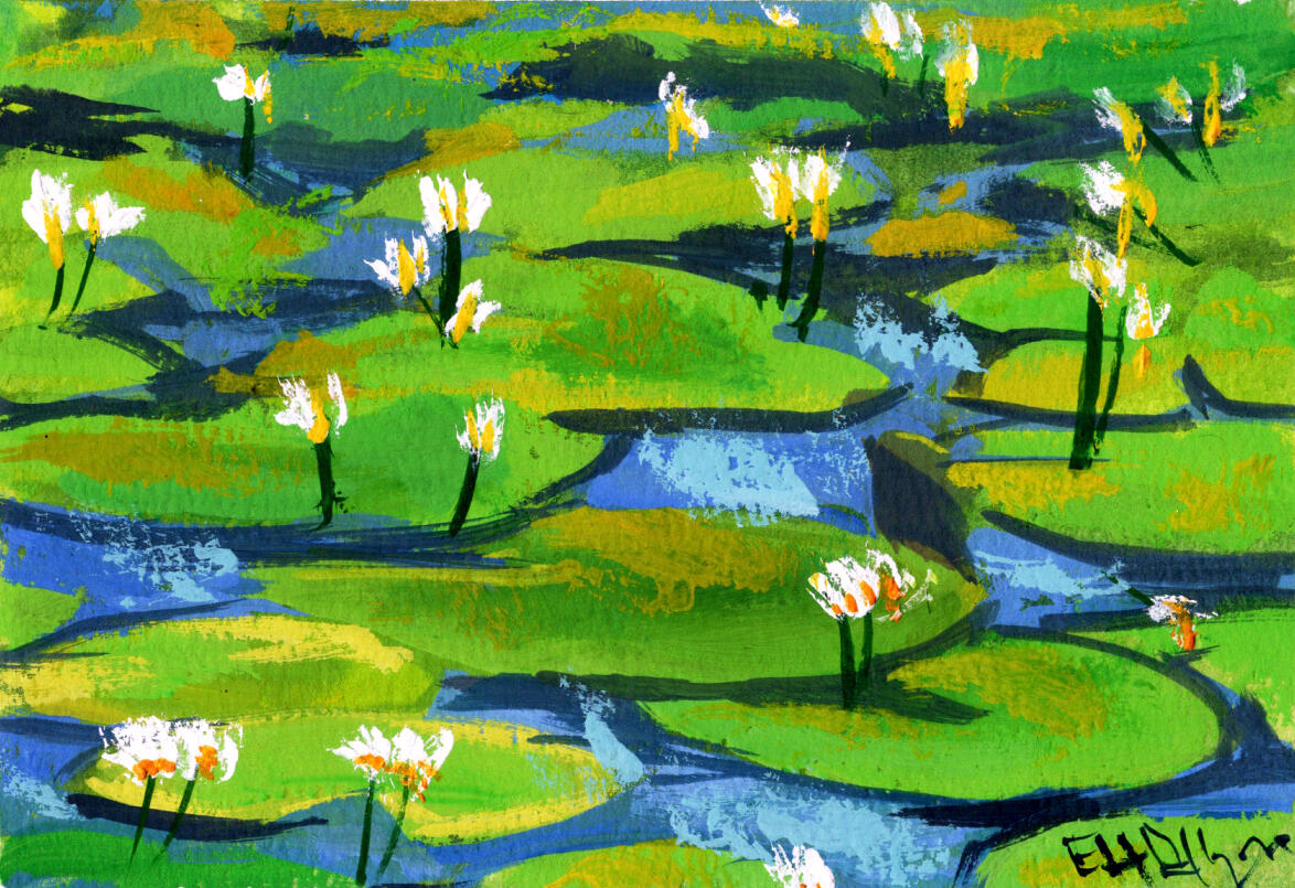 Lilypads at Midday