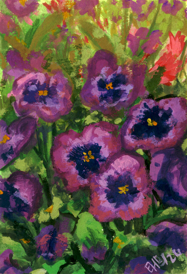 Pansies