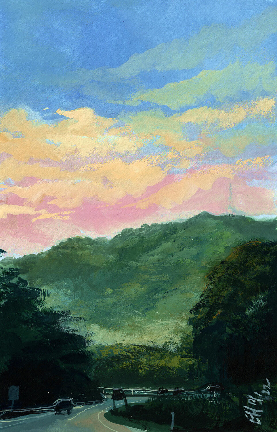 Northern Sydney Dawn