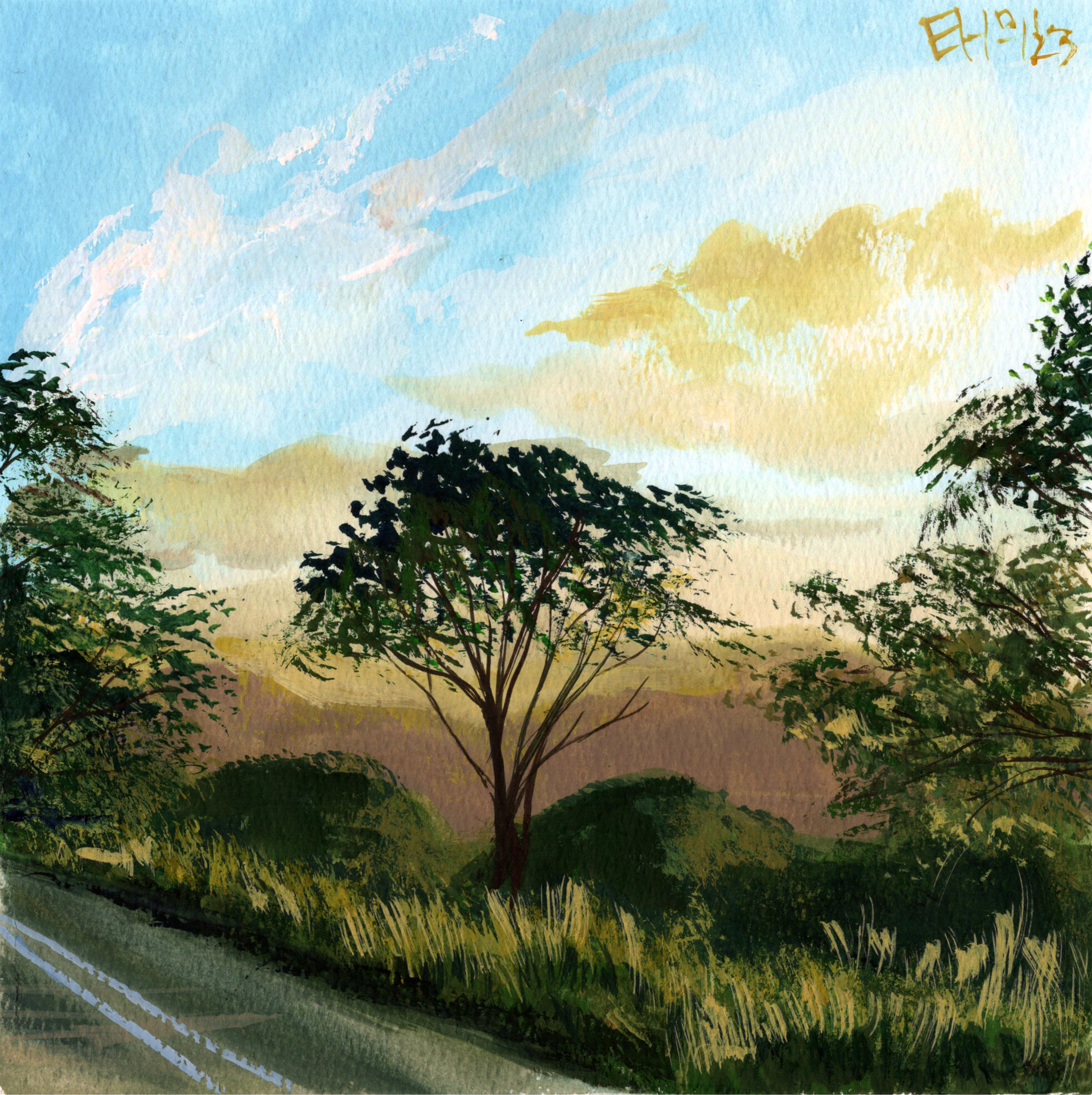 Binna Burra Golden Hour