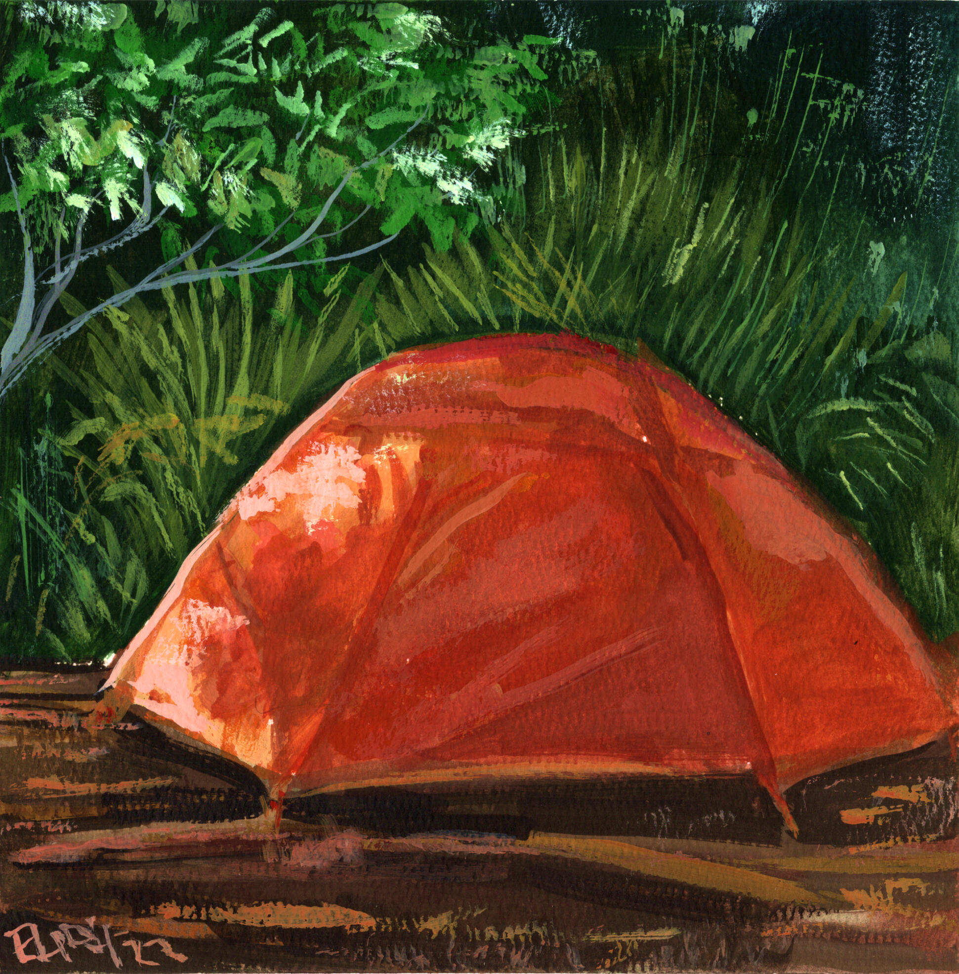 Tent at Daylight