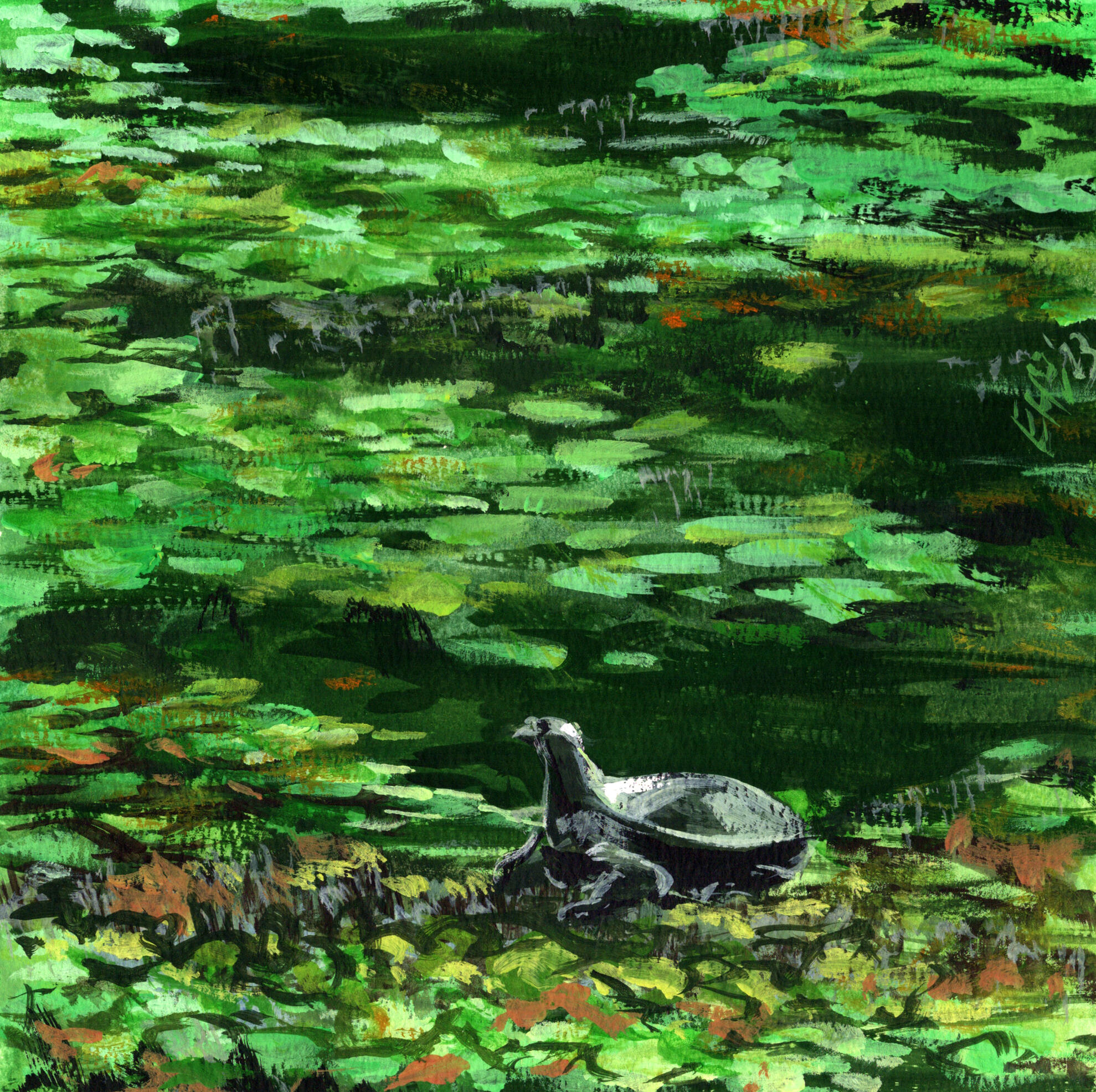 Rest Among Lilypads
