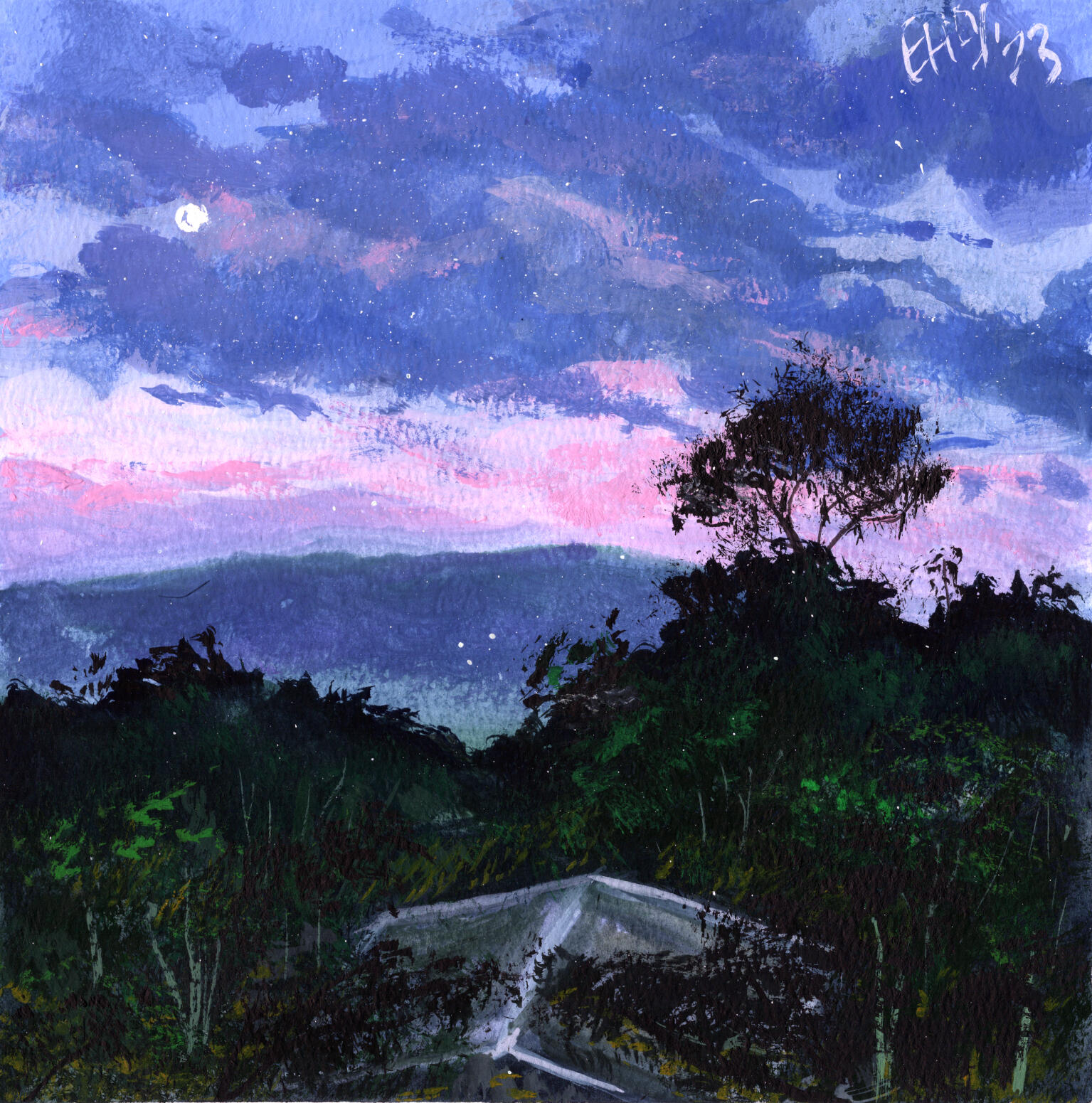 Binna Burra Dusk