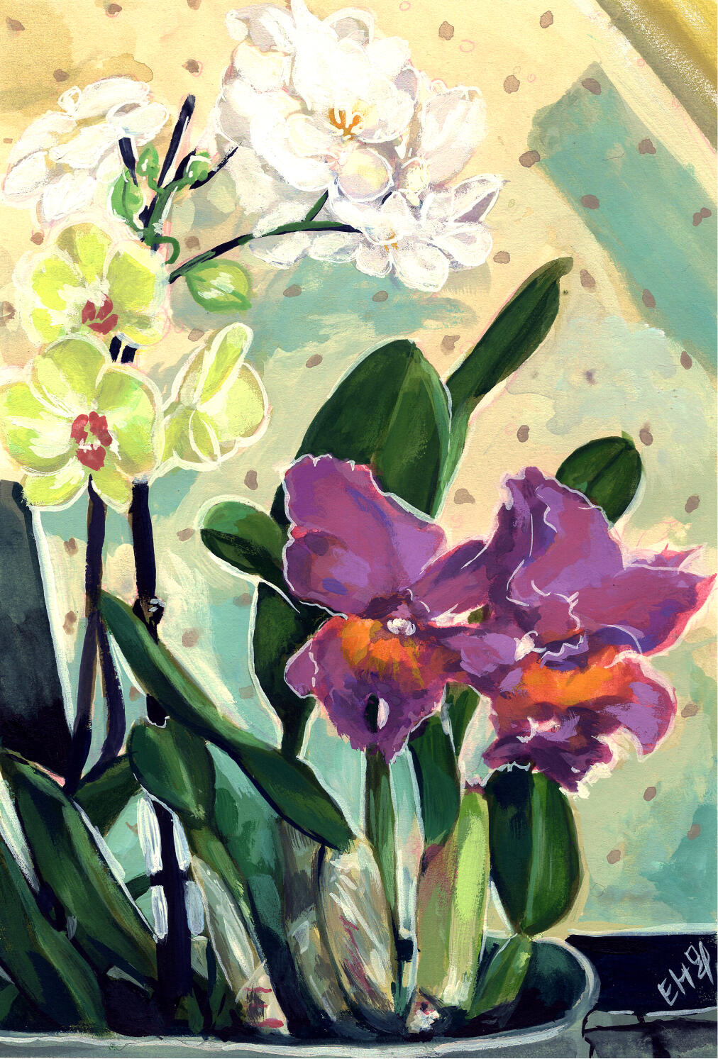 Orchids