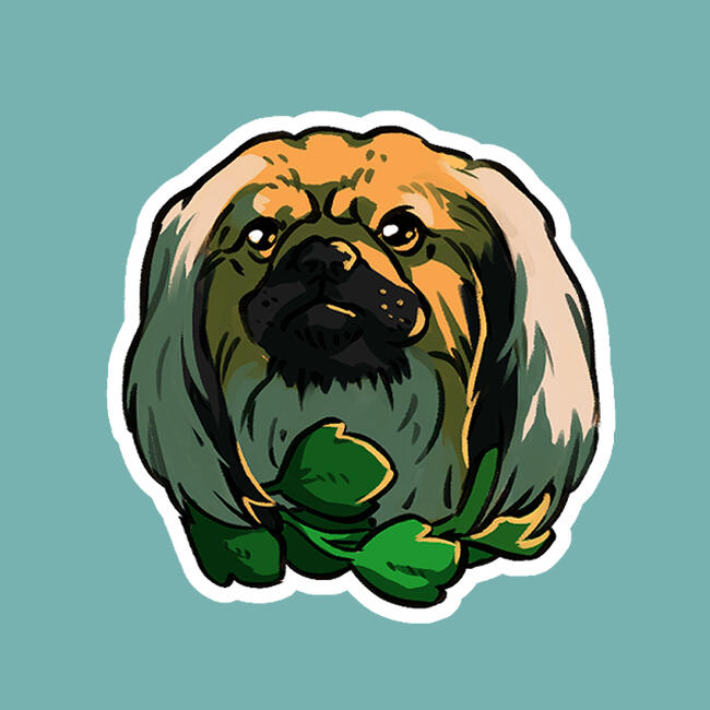 Pekingese