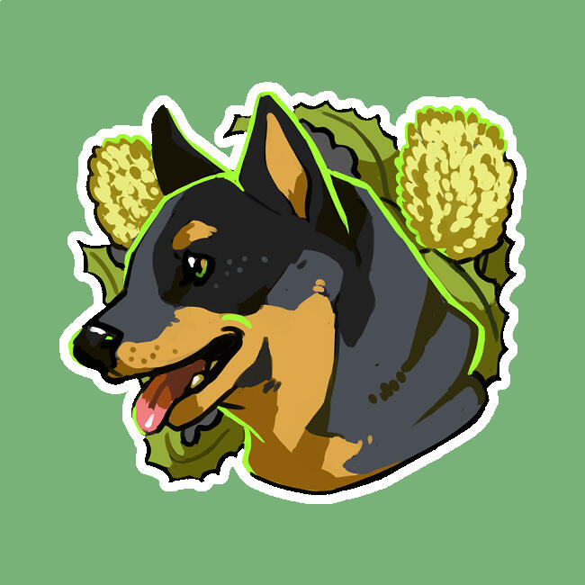 Australian Cattle Dog