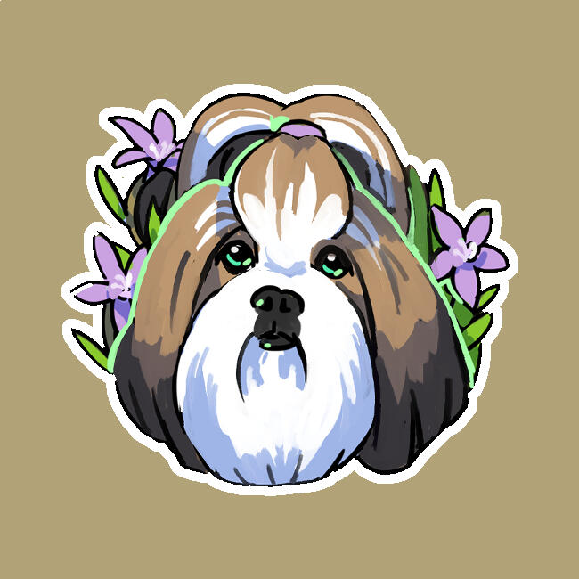 Shih Tzu