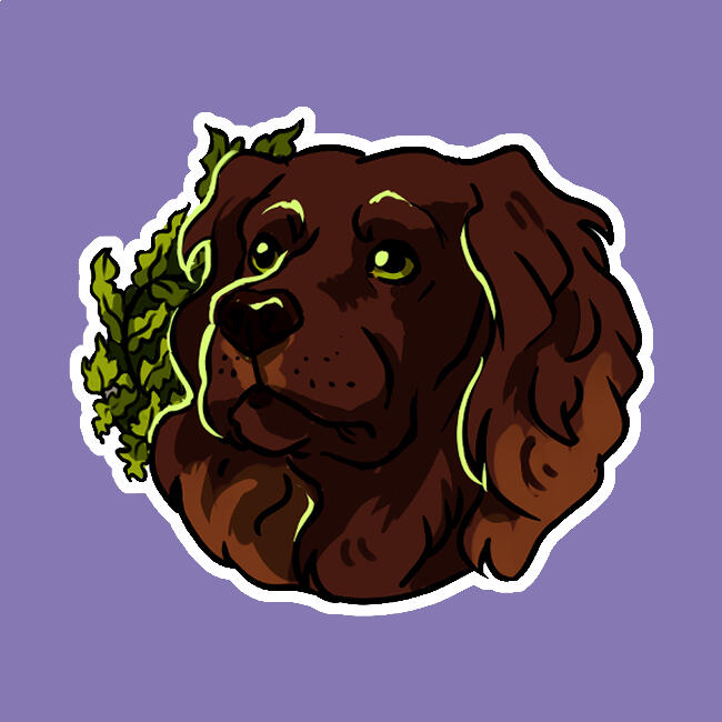 Boykin Spaniel