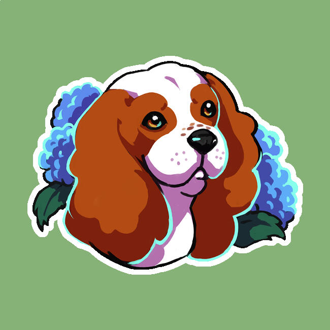 Cavalier King Charles