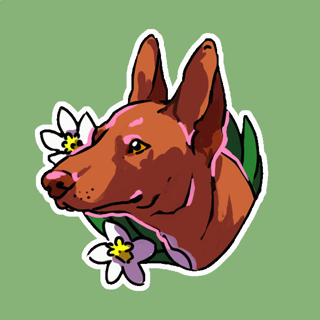 Pharaoh Hound