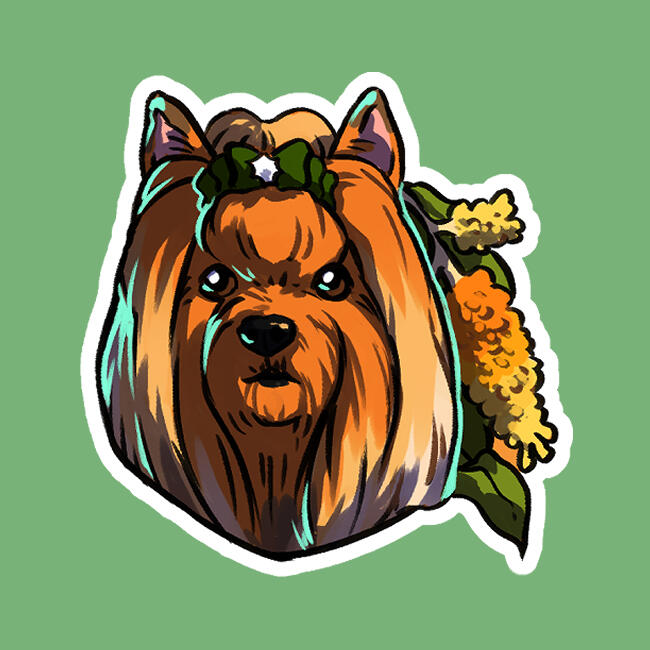 Yorkshire Terrier
