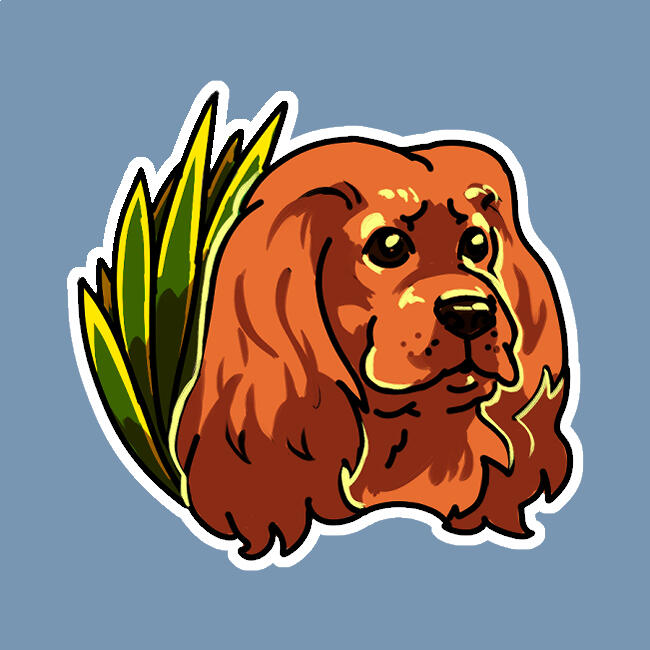 Cocker Spaniel