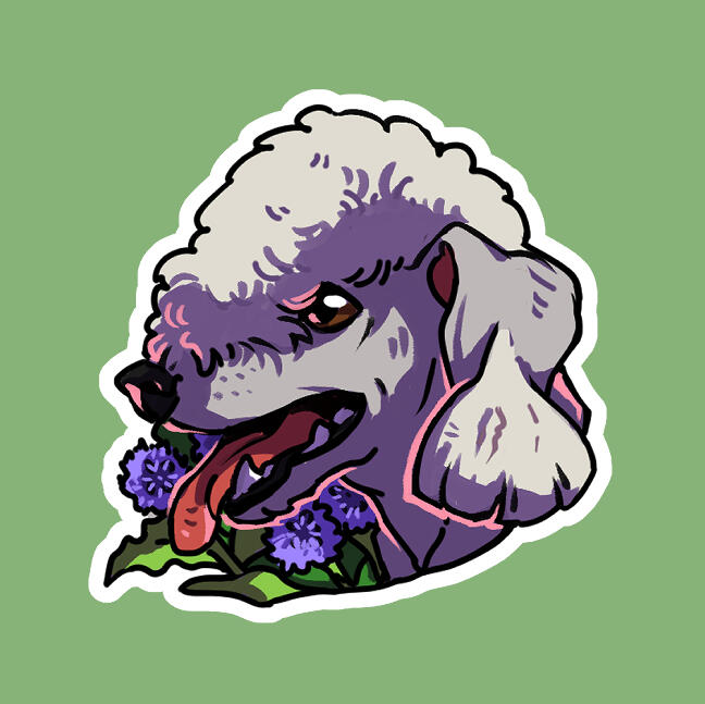Bedlington Terrier