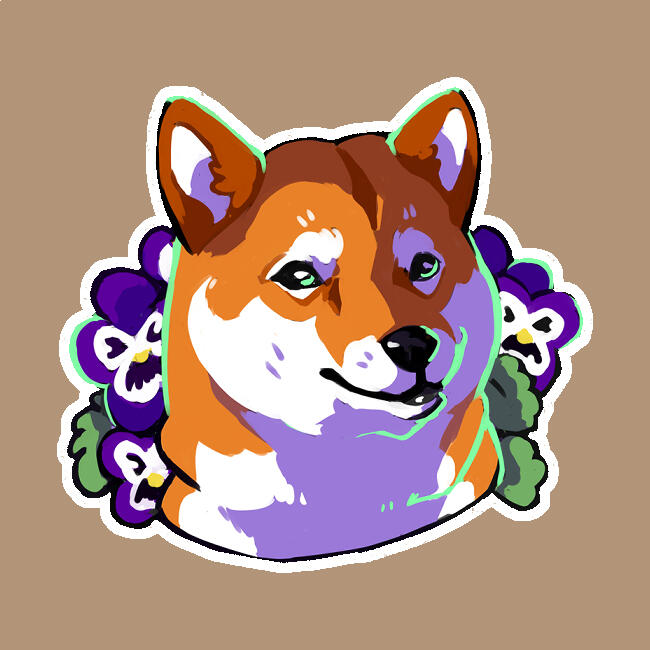 Shiba Inu A