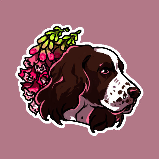 English Springer Spaniel
