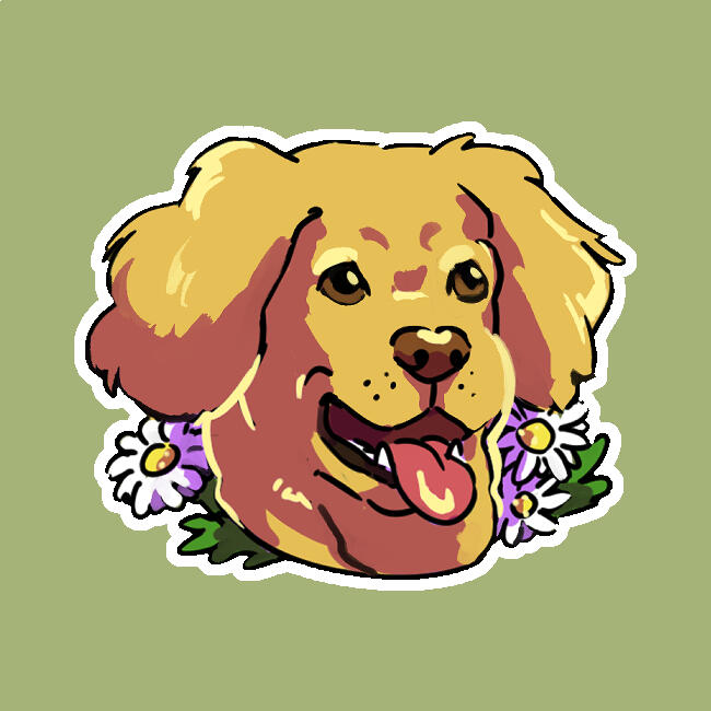 Golden Retriever