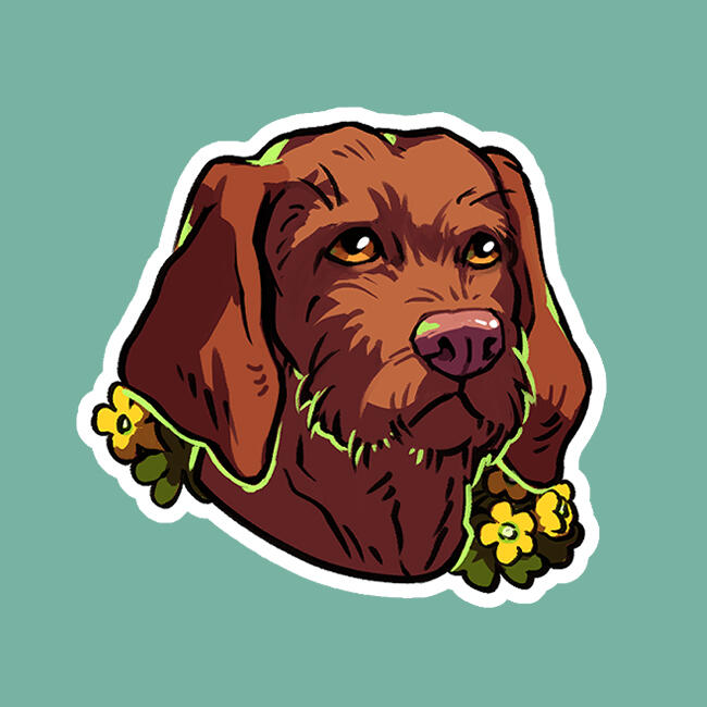 Vizsla (Wirehaired)