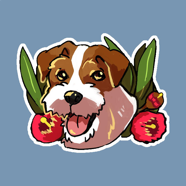 Jack Russell Terrier